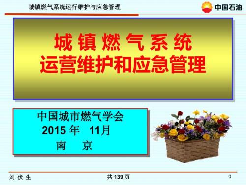 郑州城镇燃气安全管理隐患排查培训课件设施维护应急管理.pptx