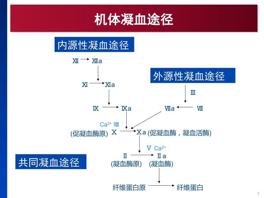 达比加群的抗凝监测.ppt_第3页