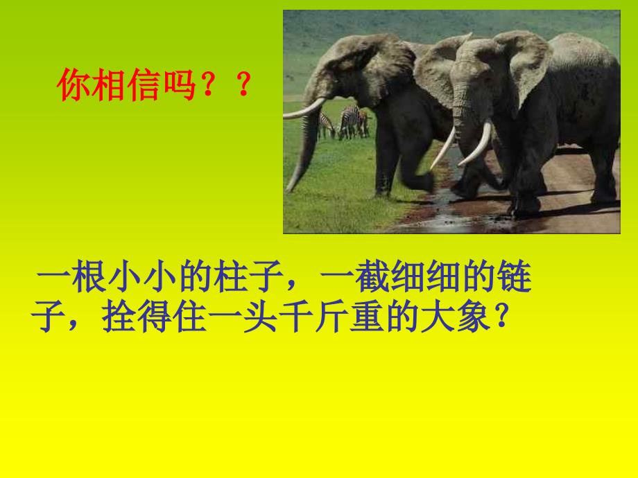 高中学生习惯养成主题班会.ppt_第2页