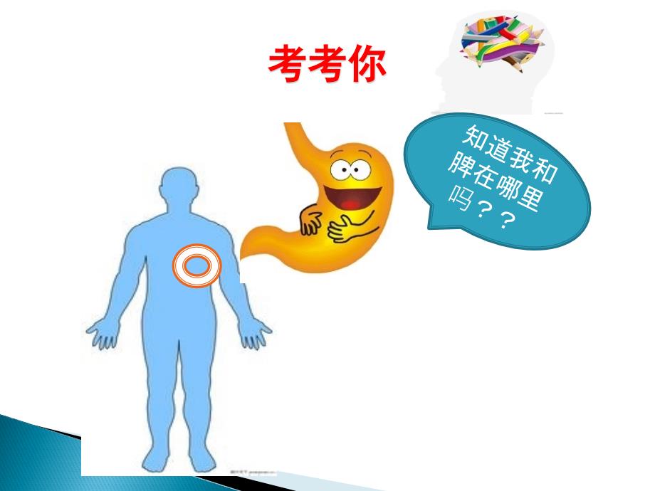 脾胃养生一ppt课件.pptx_第3页
