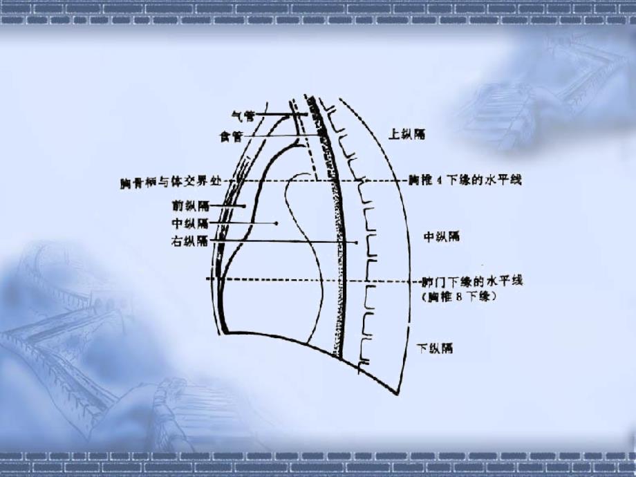 纵隔淋巴结PPT课件.ppt_第2页