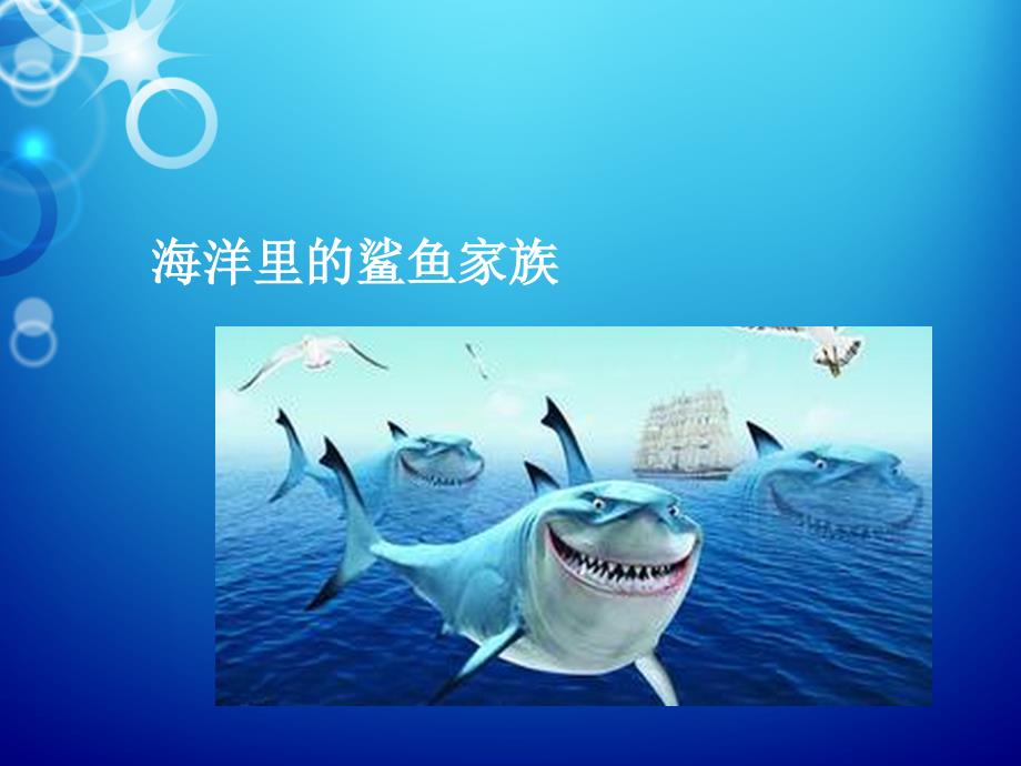 鲨鱼丰富有趣的课堂.ppt_第1页