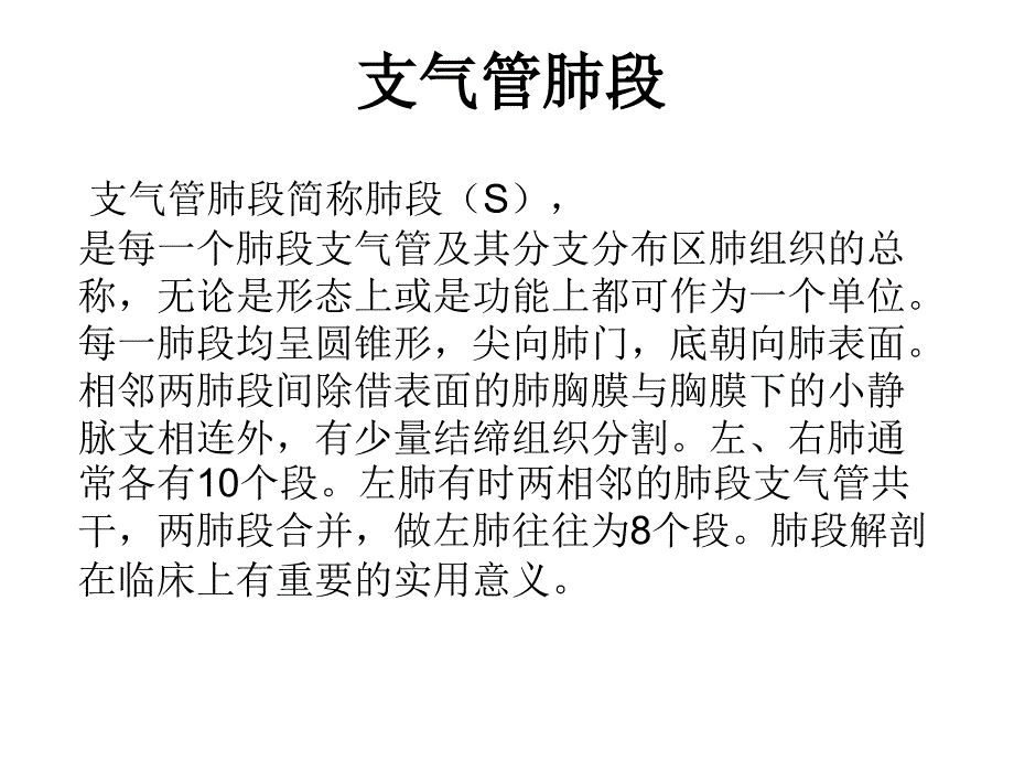 肺段及肺动静脉PPT课件.ppt_第1页
