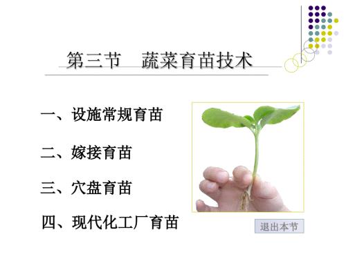 蔬菜育苗技术ppt.ppt