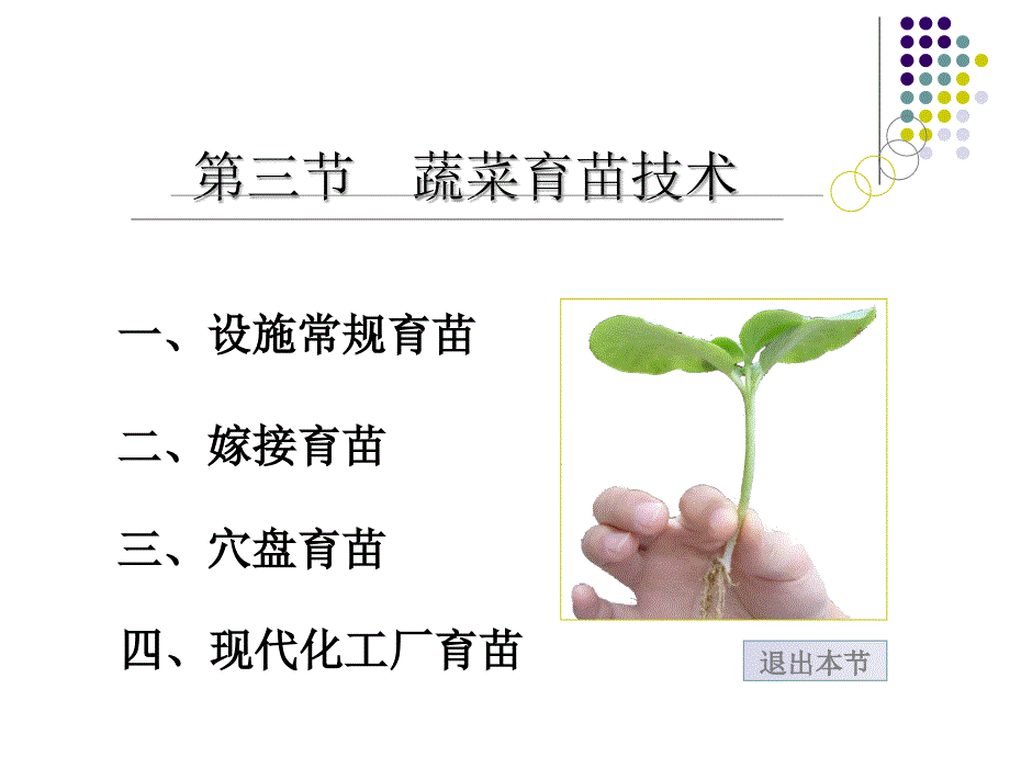 蔬菜育苗技术ppt.ppt_第1页