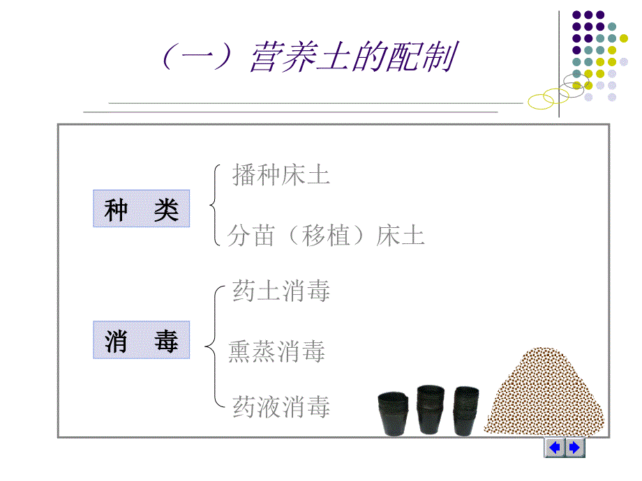 蔬菜育苗技术ppt.ppt_第3页