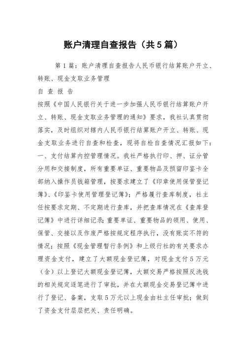 账户清理自查报告共5篇.docx