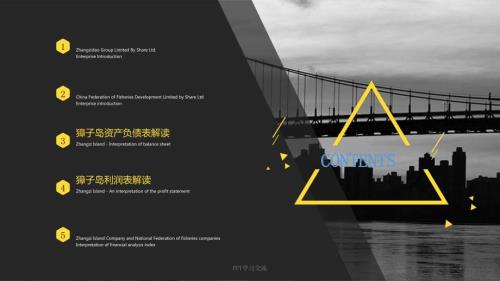 财务报表分析獐子岛国联水产ppt课件.ppt