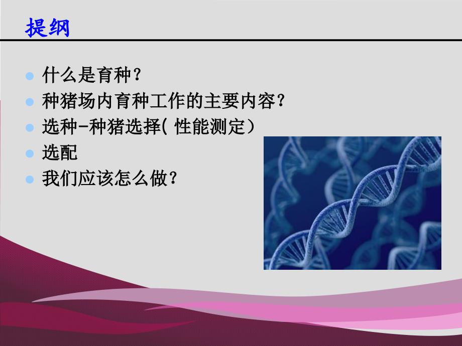 种猪场选种与选配PPT课件.ppt_第2页