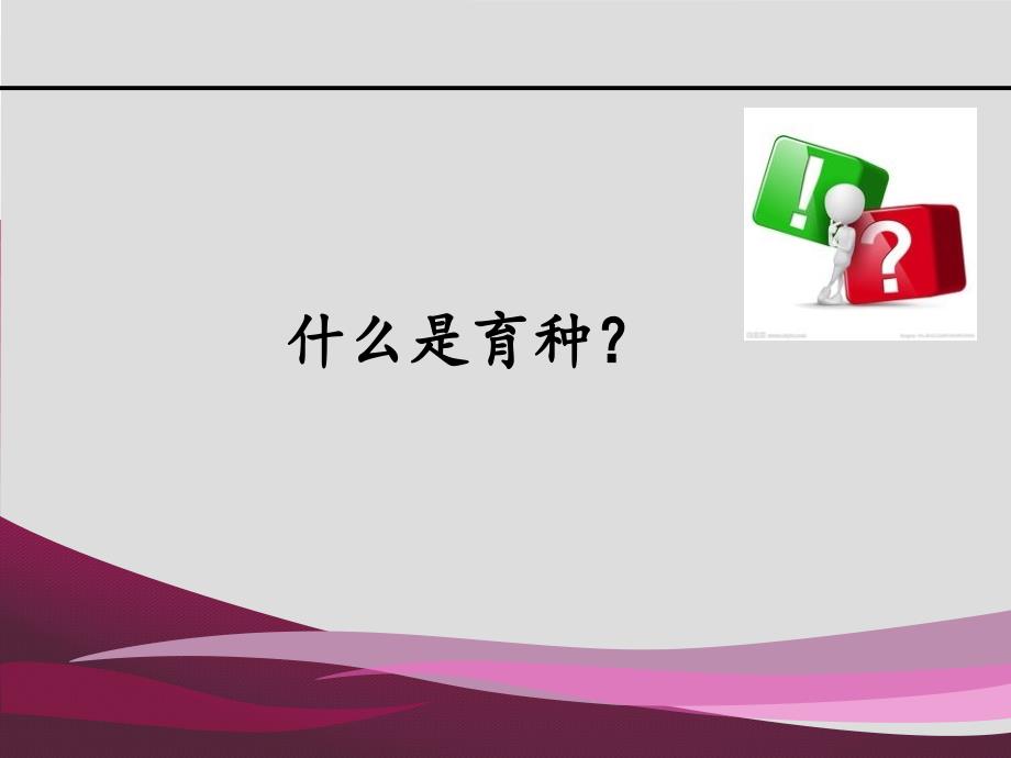种猪场选种与选配PPT课件.ppt_第3页