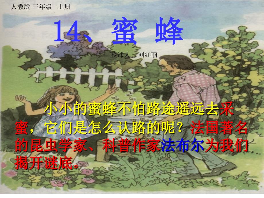 蜜蜂PPT课件刘红丽.ppt_第2页