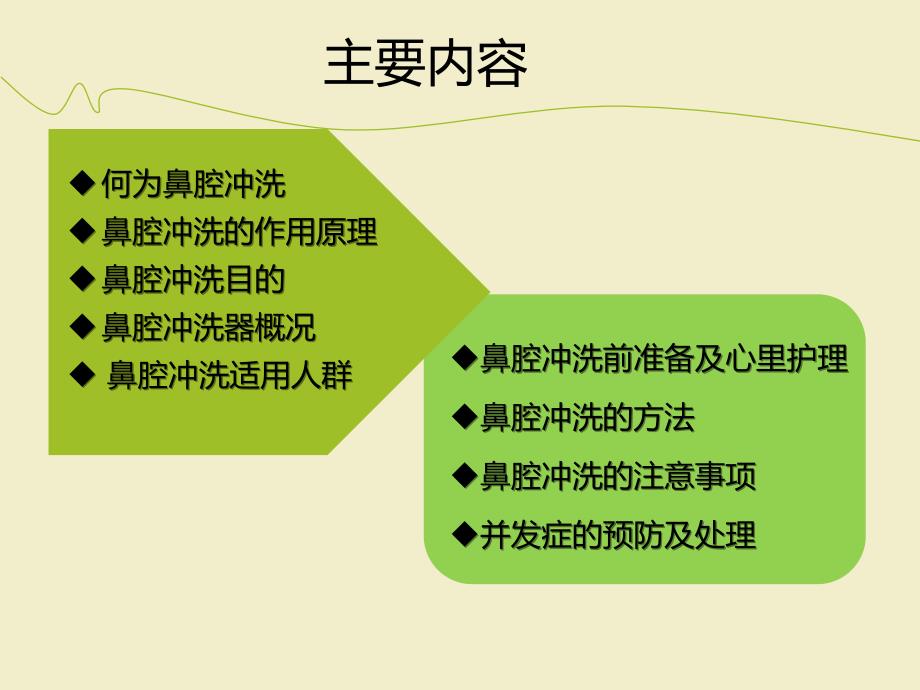 鼻腔冲洗ppt课件.pptx_第2页