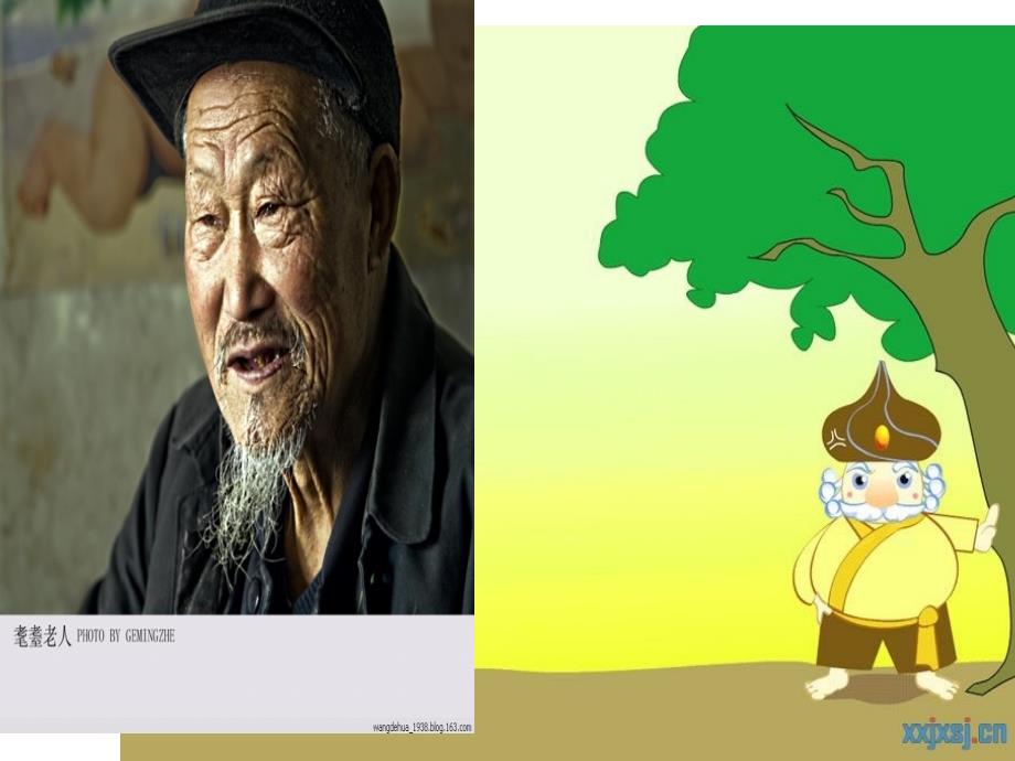 老年社会工作PPT课件.ppt_第3页