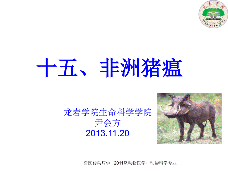 非洲猪瘟ppt课件.ppt_第1页