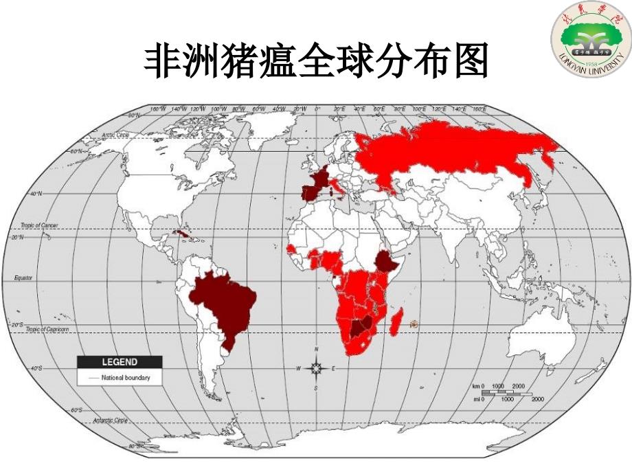 非洲猪瘟ppt课件.ppt_第3页
