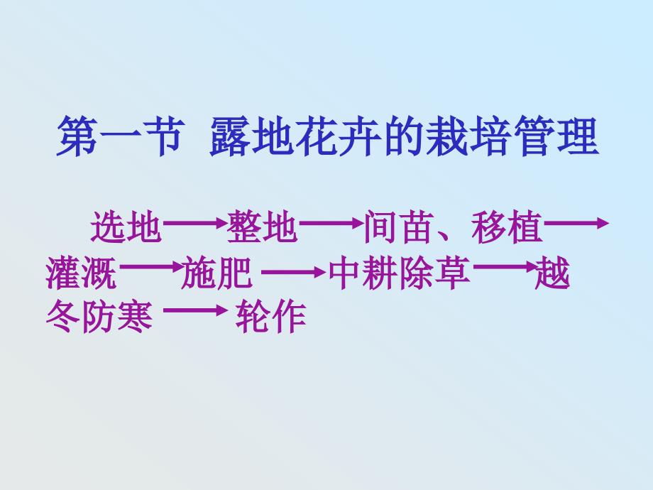 露地花卉的栽培管理措施.ppt_第2页