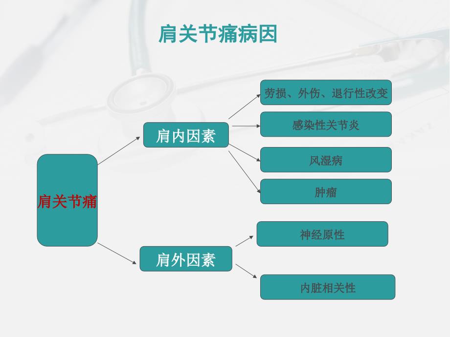 肩痛诊断与治疗.ppt_第2页