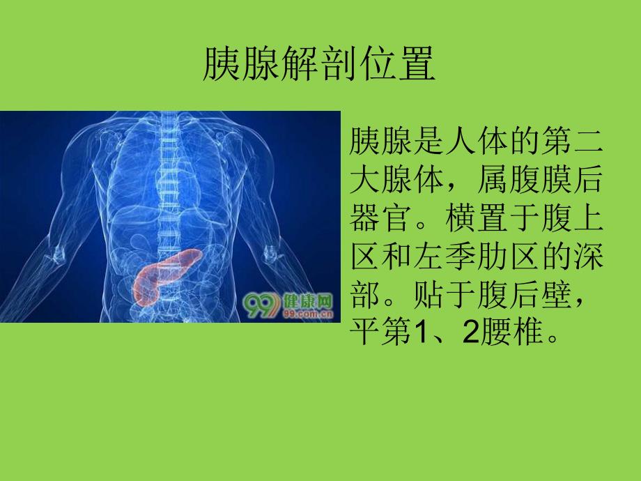 胰腺炎护理查房.ppt_第3页