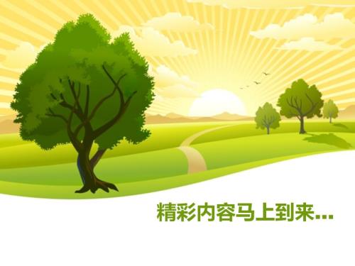 遥感在森林火灾监测中的应用.ppt