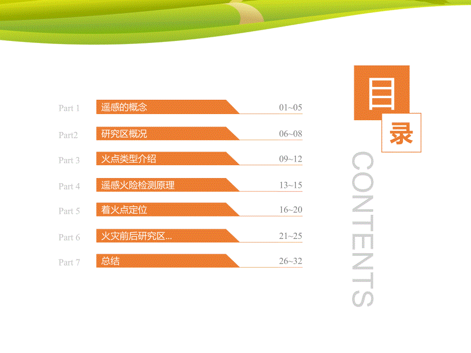遥感在森林火灾监测中的应用.ppt_第3页