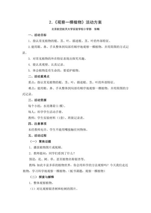 观察一棵植物活动方案.doc