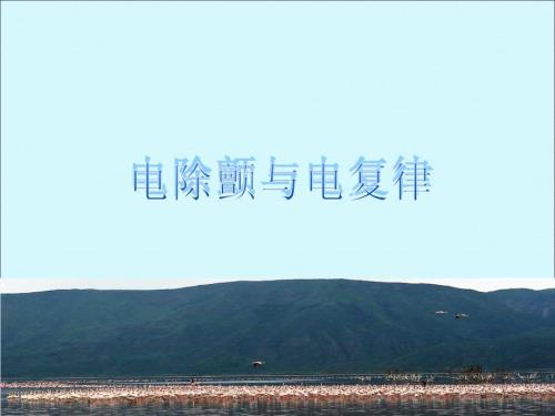 精选课件电除颤电复律.ppt