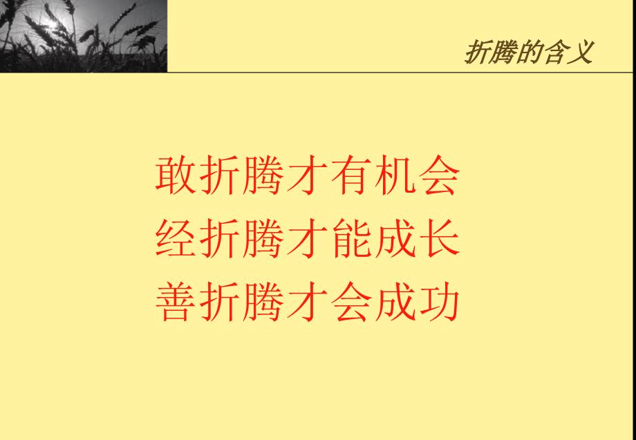 骨干是折腾出来的PPT课件.ppt_第3页