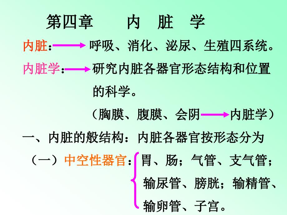 解剖学内脏的知识笔记大全.ppt_第1页