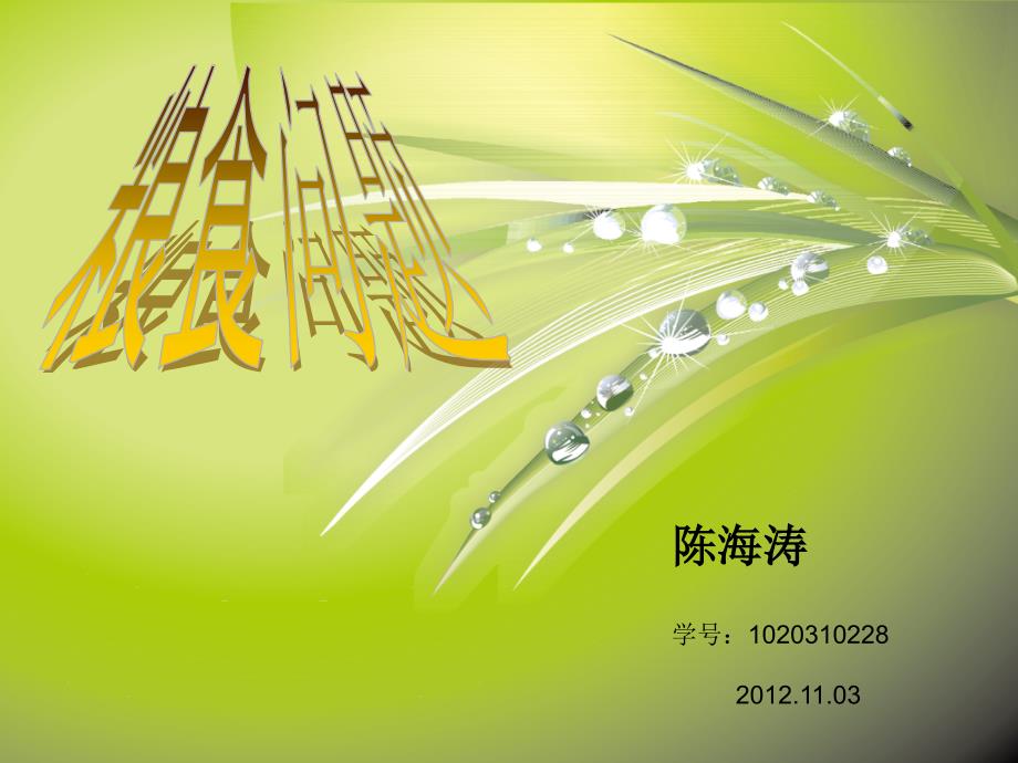粮食问题PPT课件.ppt_第1页