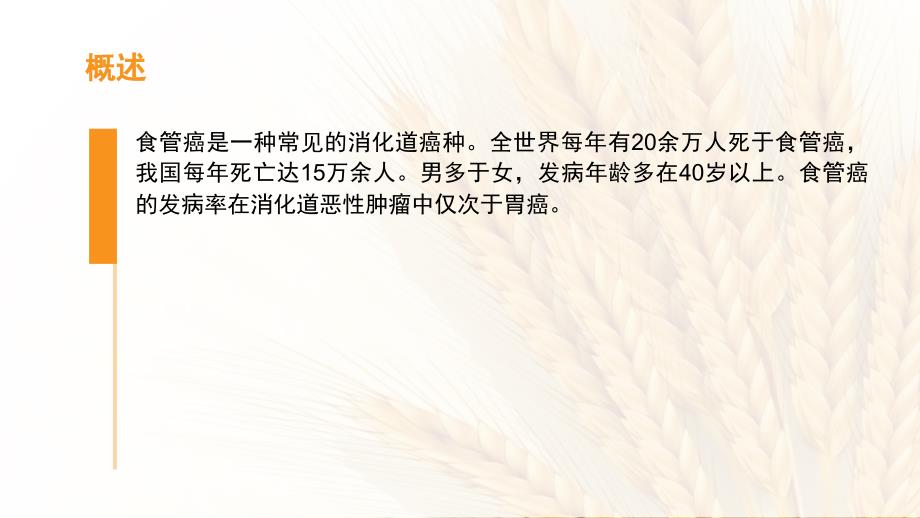 食管癌术后放疗护理查房ppt课件.pptx_第2页