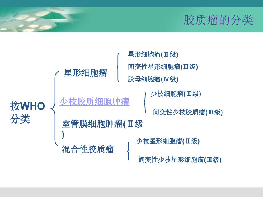胶质瘤护理查房.ppt_第3页