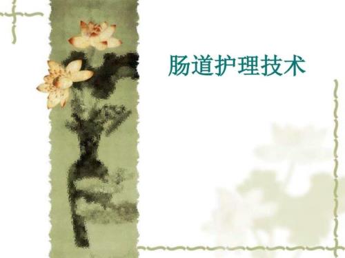 第七节肠道功能训练图文.ppt.ppt