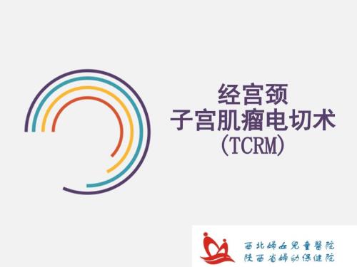 经宫颈子宫肌瘤电切术.ppt