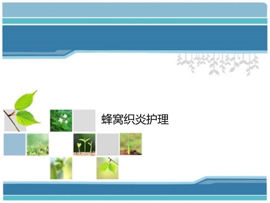 蜂窝织炎护理PPT课件.ppt_第1页