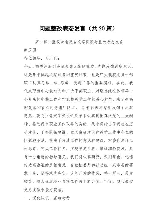 问题整改表态发言共20篇.docx