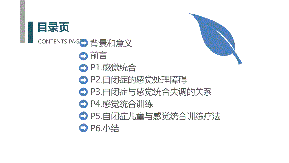 综述自闭症儿童的感觉统合.ppt_第2页
