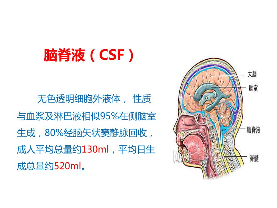 腰椎术后脑脊液漏护理课件.ppt_第3页
