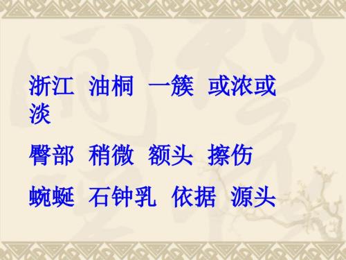 记金华的双龙洞PPT课件.ppt
