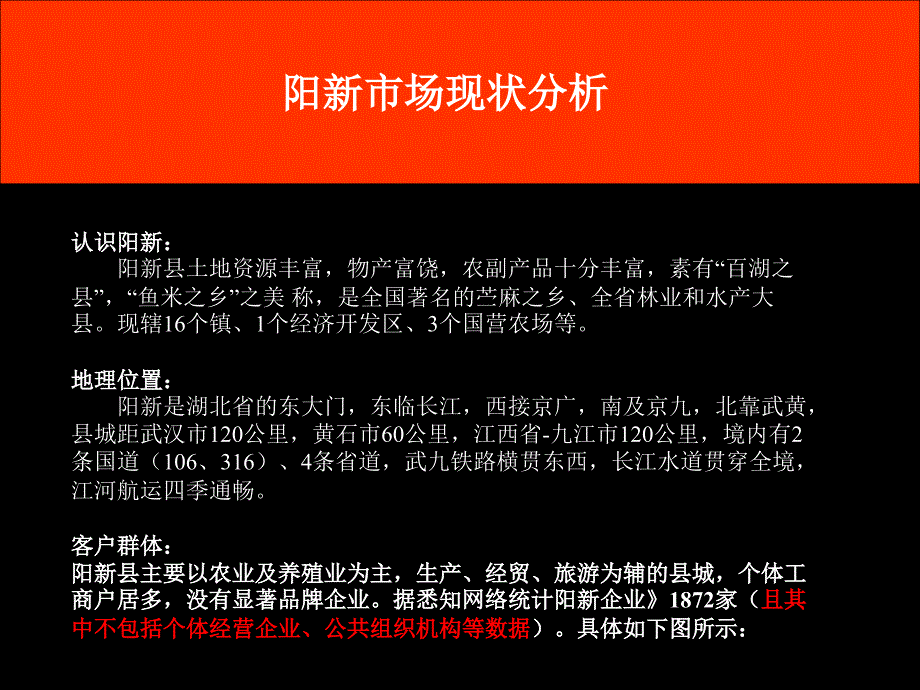 黄石关于阳新市场开发策划方案王少锋.ppt_第3页