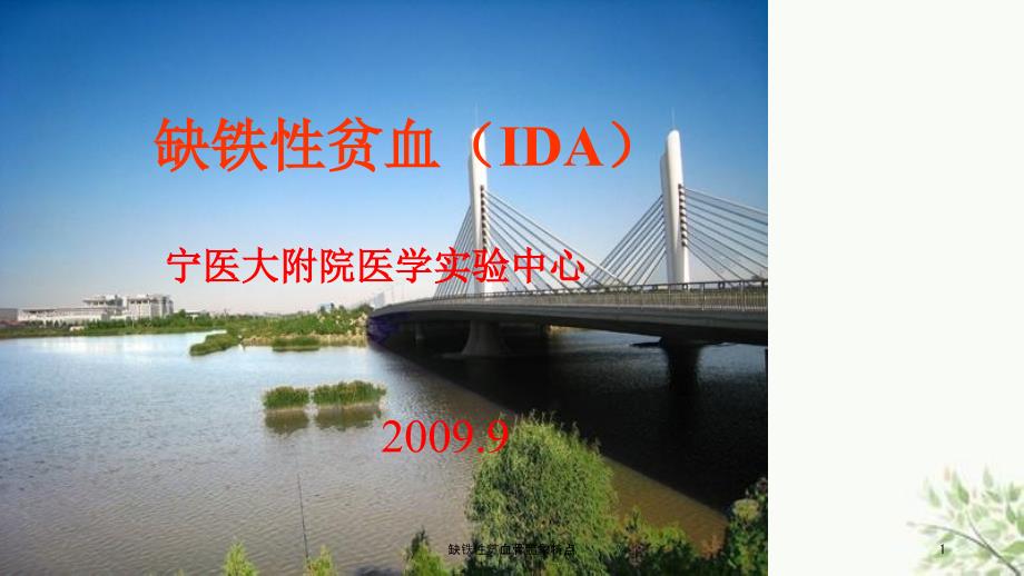 缺铁性贫血骨髓象特点课件.ppt_第1页