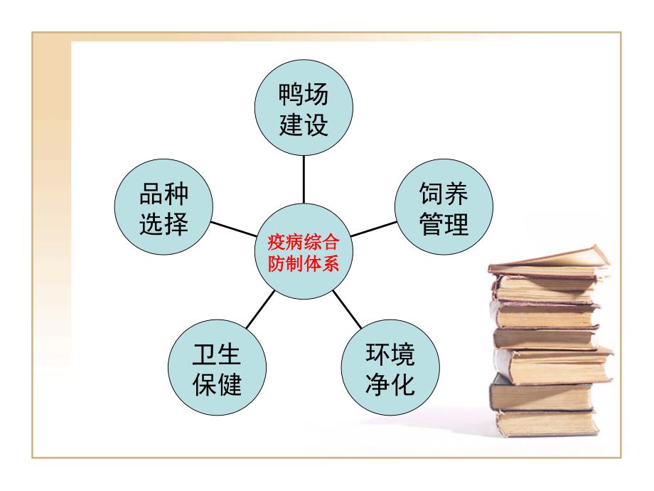 肉鸭疫病综合防制.ppt_第3页