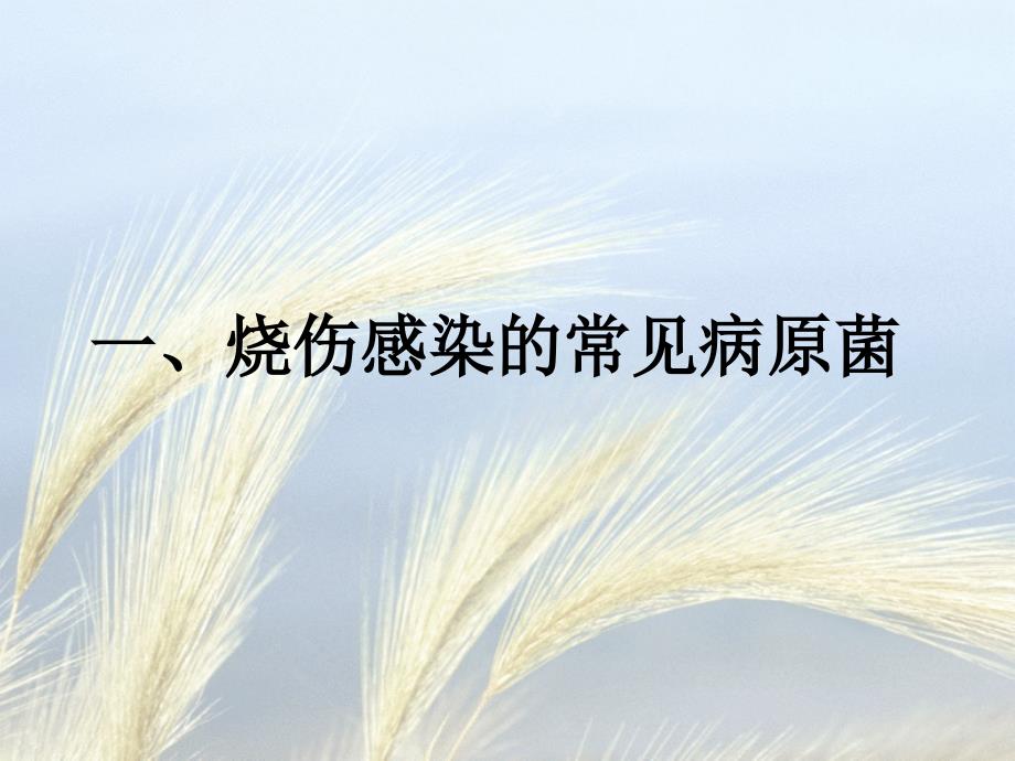 烧伤感染与治疗对策ppt课件.ppt_第2页