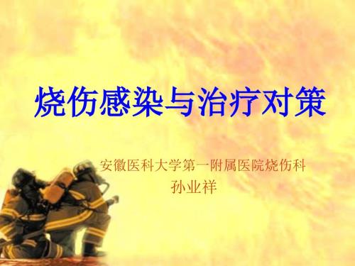 烧伤感染与治疗对策ppt课件.ppt
