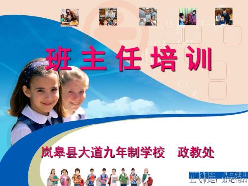 班主任培训材料ppt.ppt