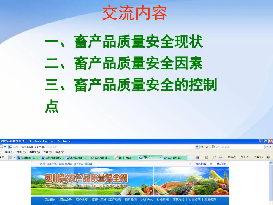 畜产品质量安全监管.ppt_第2页