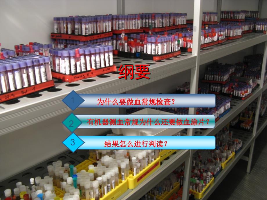 小动物血常规基础.ppt_第2页