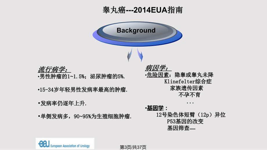 睾丸癌EUA指南解读PPT课件.pptx_第3页