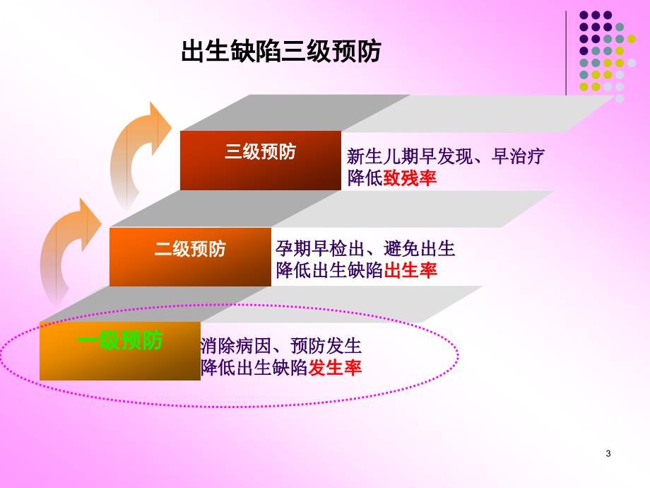 孕前优生检查项目ppt课件.ppt_第3页