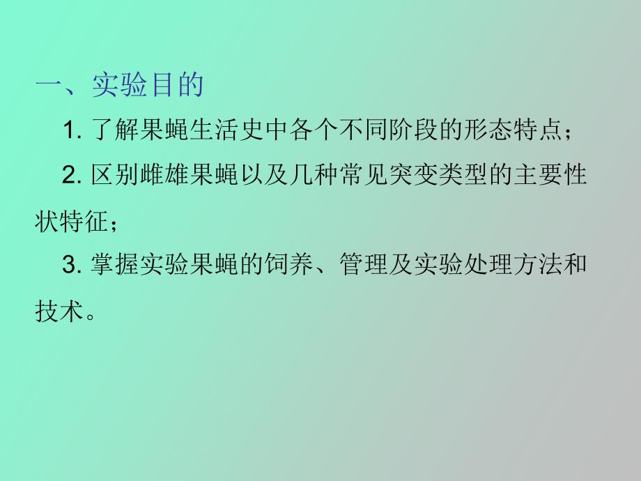 实验三果蝇的性状生活史观察及饲养.ppt_第2页