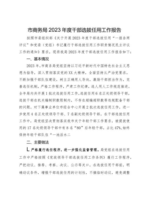 市商务局2023干部选拔任用工作报告(1).docx